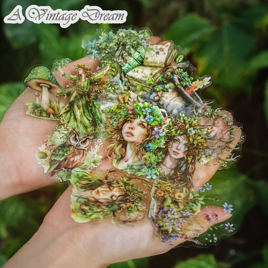 (7.July) 30pcs Forest Witches PET Stickers for Scrapbooking and Art Crafting