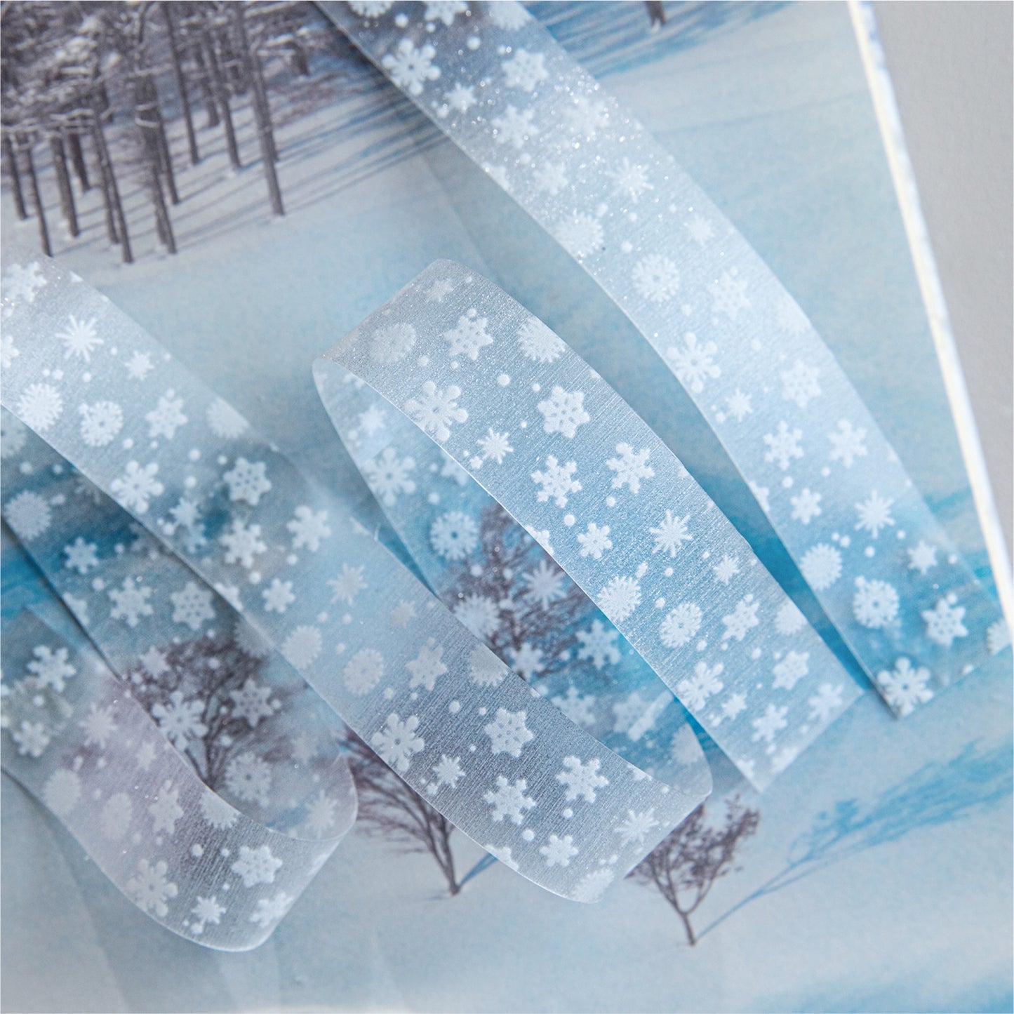 "Winter Love Song" 2m Sparkly PET Tapes